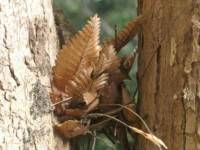 เรื่องหนาวๆ – รู้หลบ