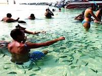 เอกชนห่วงการเมืองทำท่องเที่ยวช่วงไฮซีซั่นพัง