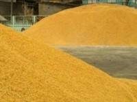 ราคาข้าวต่ำสุดในรอบ3ปี