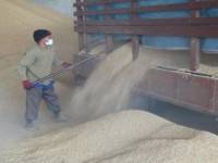 ชาวนาระแวงไม่ได้เงินรับจำนำ