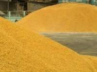 ป.ป.ช.ขอเอกสารจำนำข้าวเพิ่ม