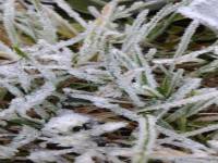 สดร.อวดภาพแม่คะนิ้งจากยอดดอยอินทนนท์