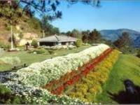 ภาคเหนือครองแชมป์คนไทยเที่ยวมากสุด