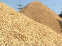 ยื่นซองการประมูลข้าว 5 แสนตันคึกคัก