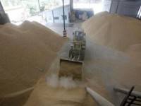 ผู้ส่งออกข้าวแห่ยื่นซองปรังปรุงคุณภาพให้จีน