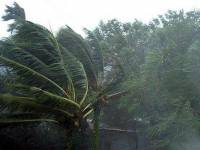 พายุตะวันออก – รู้หลบ