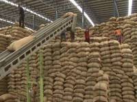 เล็งปิดบัญชีรับจำนำข้าวยังขาดทุนเพียบ