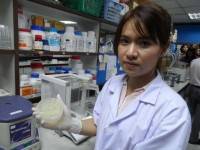 นักวิจัยจุฬาเจ๋งโคลนนิ่งแบคทีเรียจากปลวกป่าช่วยย่อยเซลลูโลส