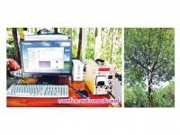 สทน.ใช้ซีทีสแกนแก่นต้นกฤษณา ค้นหาน้ำมันหอมโดยไม่ต้องตัด – ฉลาดคิด