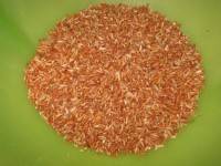 โปรโมทข้าวหอมมะลิไทย – จีไอ ตลาดอังกฤษ