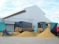 พาณิชย์อัดมาตรการพยุงราคาข้าว