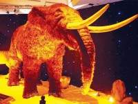 ตะลุยโลกดึกดำบรรพ์ในมหกรรมวิทย์ เชียงใหม่