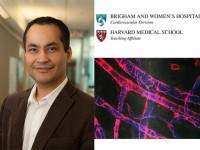 เครื่องพิมพ์อวัยวะเทียม 3 มิติ – รอบรู้ไอที รอบโลกเทคโนโลยี