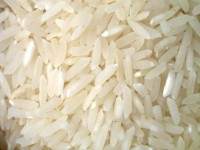 เปิดประมูลข้าวล็อตสอง 1.39 แสนตัน