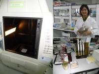 ทำไม..สมุนไพรต้องตรวจดีเอ็นเอ