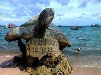 เชิญรมว.ท่องเที่ยวลงพื้นที่เกาะเต่า