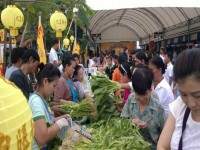 พาณิชย์ยันราคาผักช่วงกินเจไม่แพง