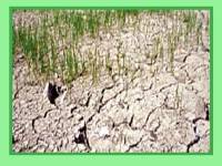 ใต้เตรียมตัว!! – รู้หลบ