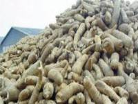 อคส.ช็อค!สต๊อกมันสำปะหลังล่องหน