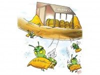 รัฐคลำทางขายข้าว18ล้านตัน ปัญหาใหญ่คนไทยแบกหนี้อ่วม